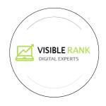 The Visible Rank