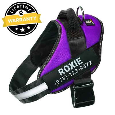 Lifetime Warranty Personalized NO PULL Harness Profile Picture