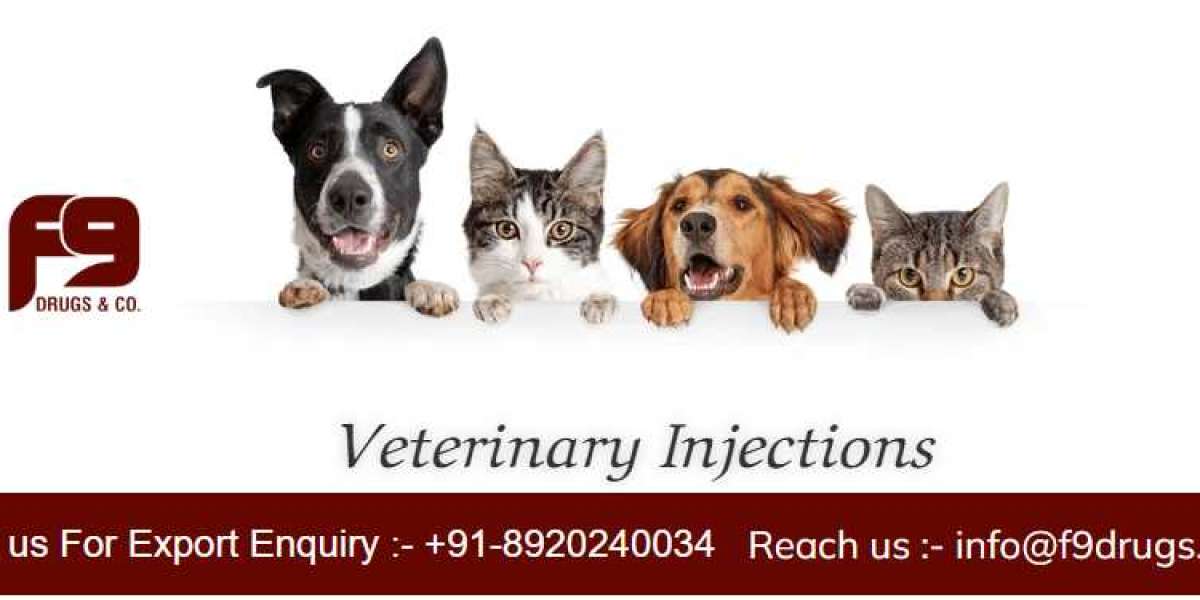 Veterinary Injections for Animals
