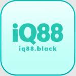 IQ88