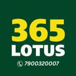 lotuss365