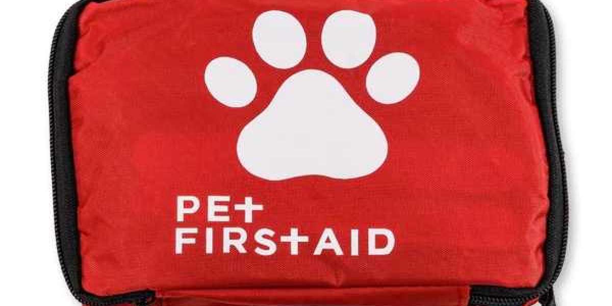 Why Choose YonoelFirstAid Gift First Aid Kit For Loved Ones
