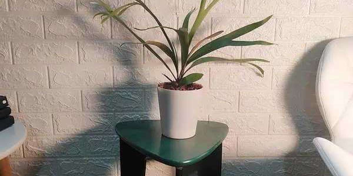 Decorate Your Home with Fresh Interior Plants and Ferns