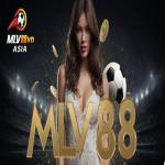 CEO MLV88