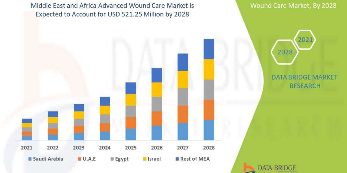 Middle East and Africa Advanced Wound Care Market Overview, Growth Analysis, Trends and Forecast By 2028