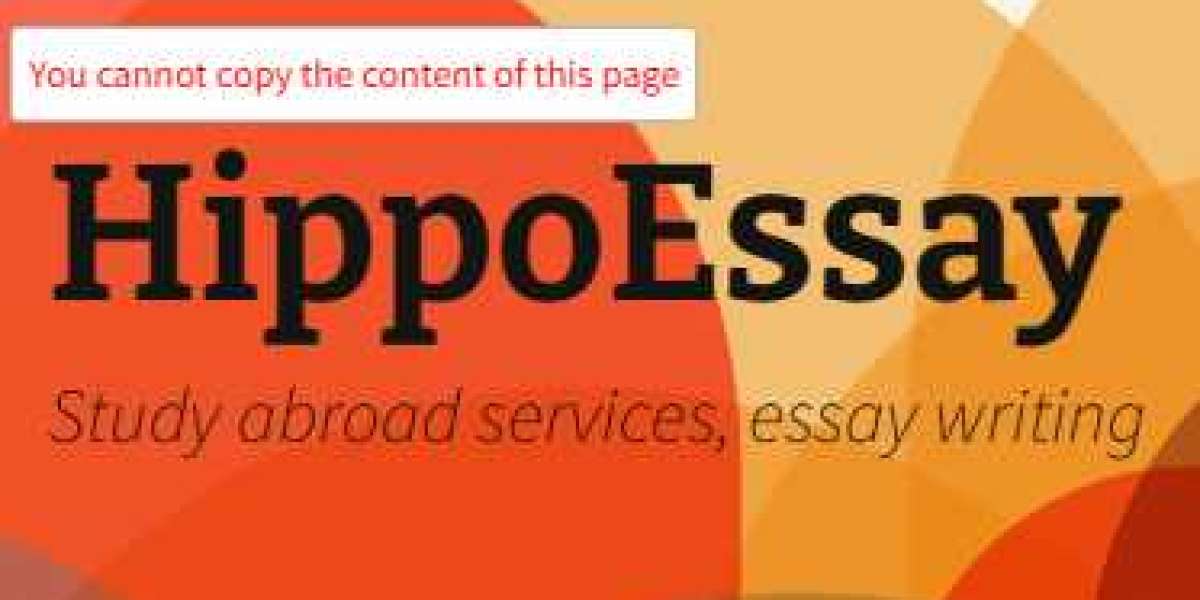 Empowering Students Through Social Work: How HippoEssay Enhances University Life