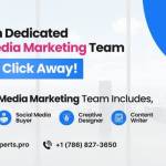 Social Media Marketing Expert