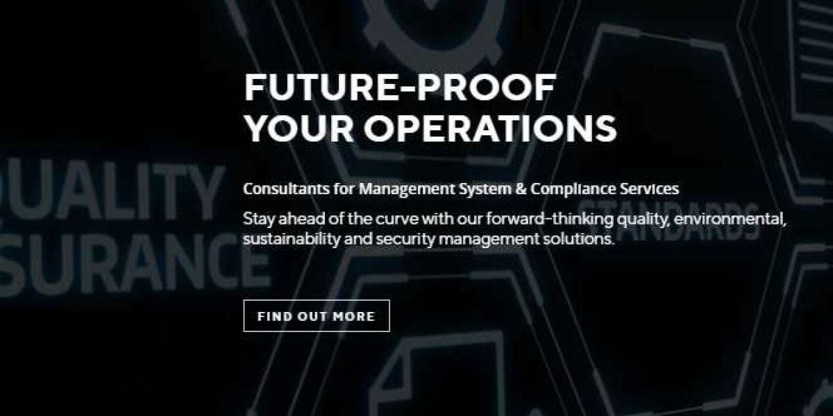 Management Systems Consulting