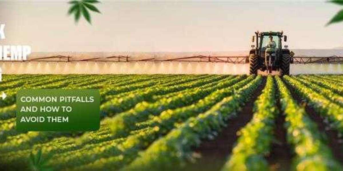 Hemp Farming Problem: Dark Side of Hemp Cultivation