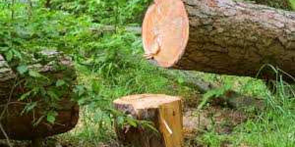 Tree Felling