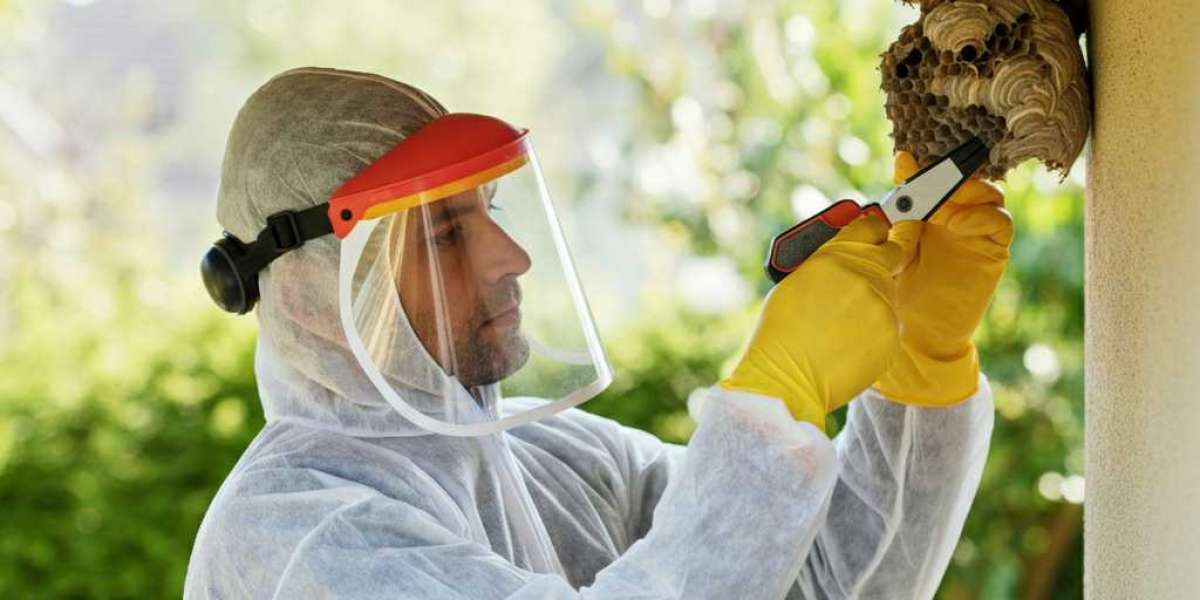 Wasp Nest Removal Toronto: Protect Your Home and Family 