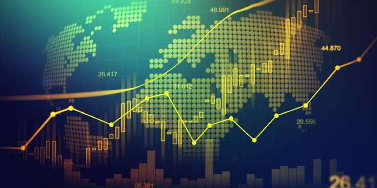 Steady Performance and Profits – Tradingsto Reviews Speak for Themselves