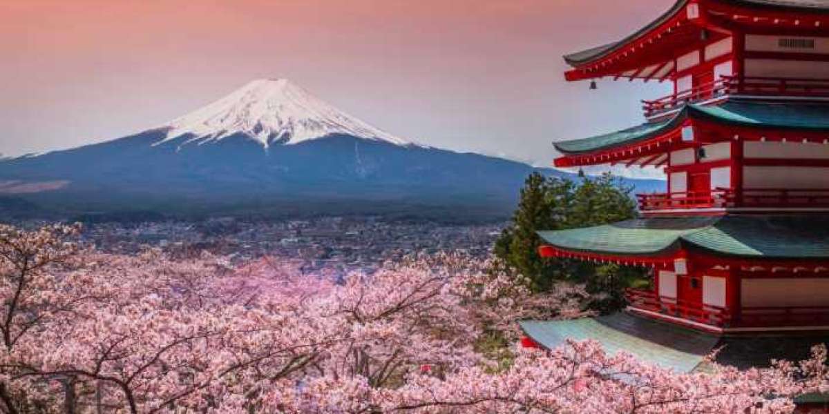 Kyoto Tours and Tokyo Tours – A Dual Experience of Japan’s Timeless Appeal