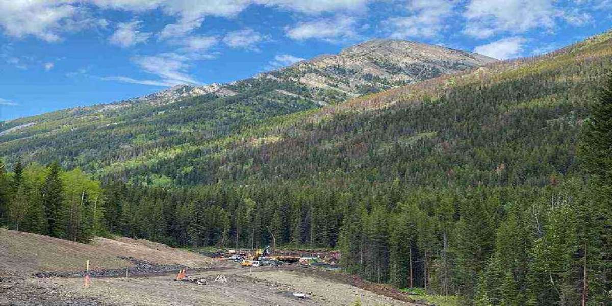 Can an RPR Reveal Illegal Structures? Yes—Here’s What That Means