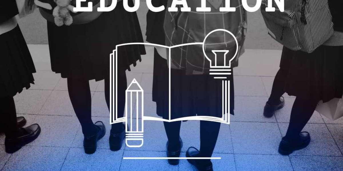 Navigating Australia's Visa Pathways: Understanding Employer Sponsored and Bridging Visas