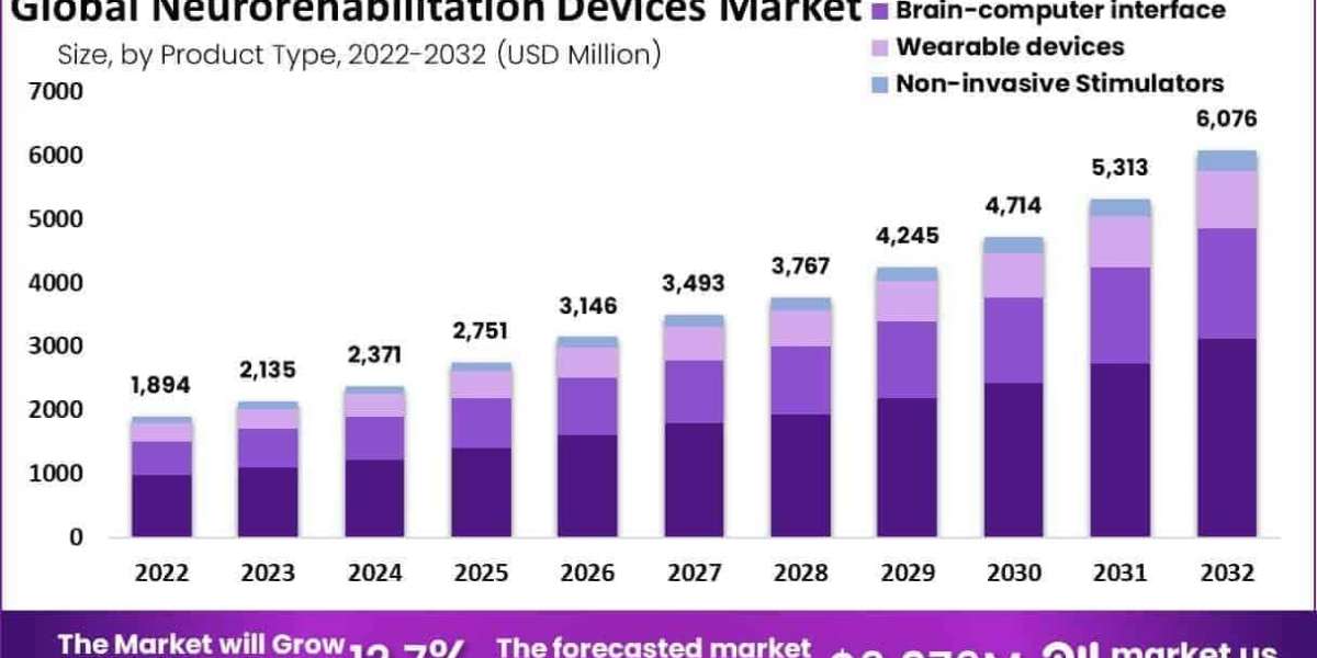 Neurorehabilitation Devices Market Role in Chronic Pain Rehabilitation