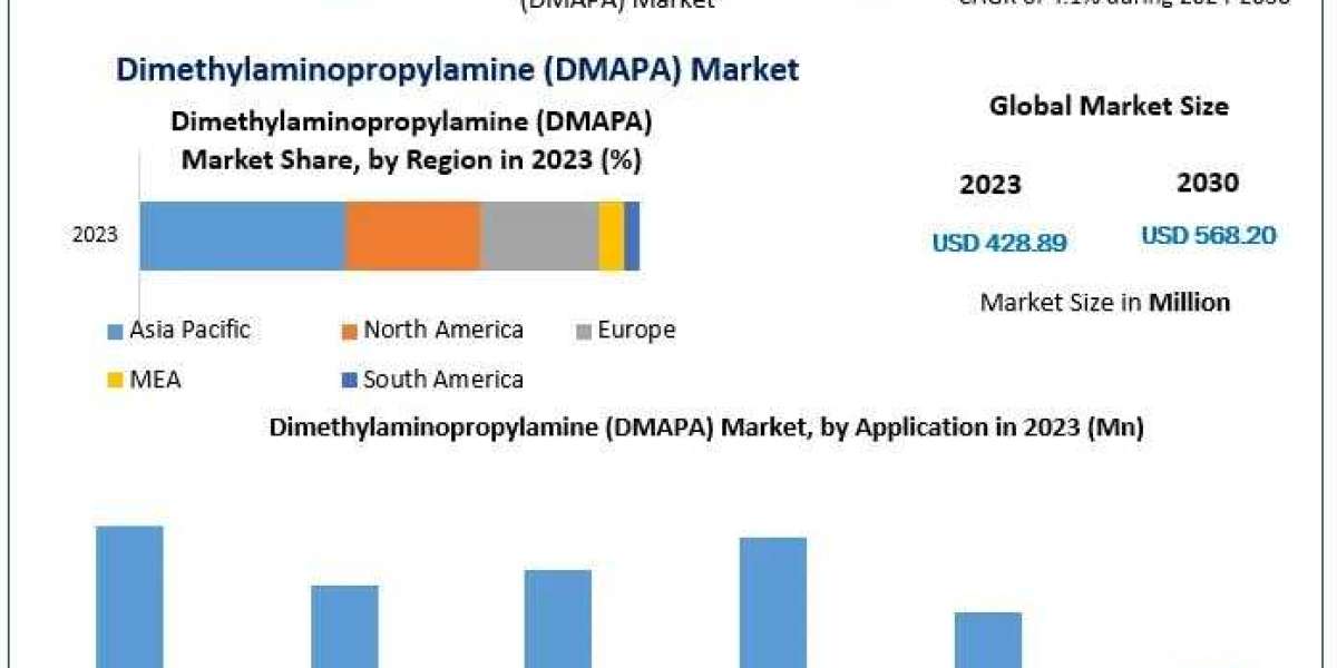 Dimethylaminopropylamine Dmapa Market Size, Share, Future Scope, Regional Trends, Growth, Trends-2030