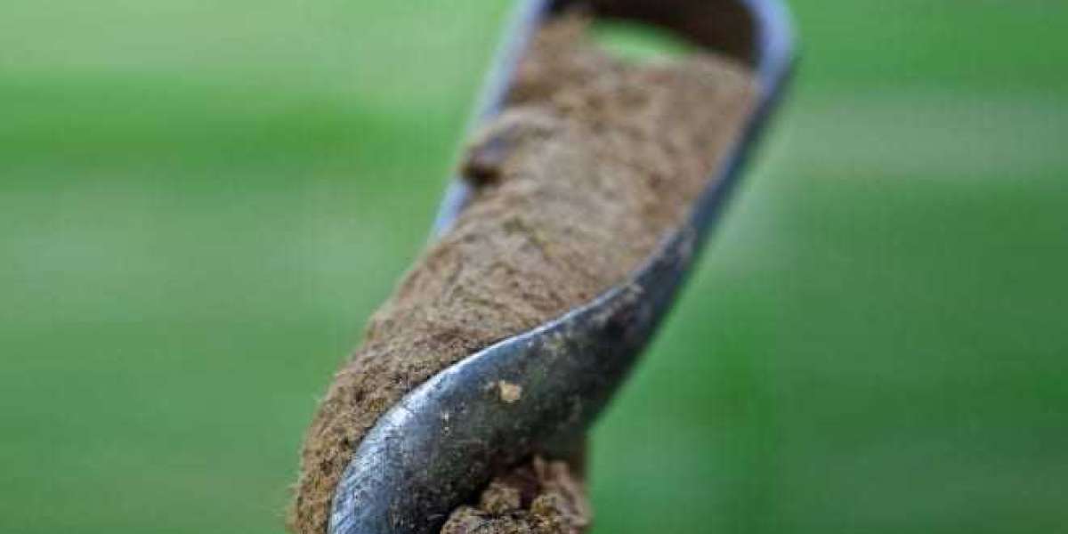Unlocking the Secrets Beneath: Why Soil Testing Matters in Southern Melbourne and Cranbourne
