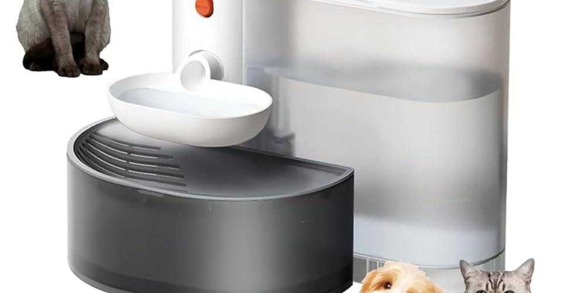 Simplifying Pet Care with Pawtechpet’s Smart Devices