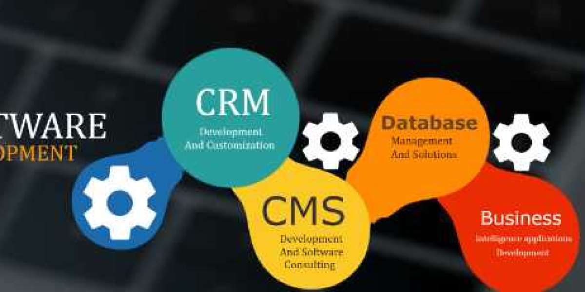 How a Software Development Company in Varanasi Enhances Visitor Experiencesv