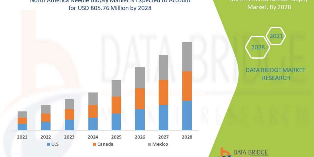 North America Needle Biopsy Market Overview, Growth Analysis, Trends and Forecast By 2028