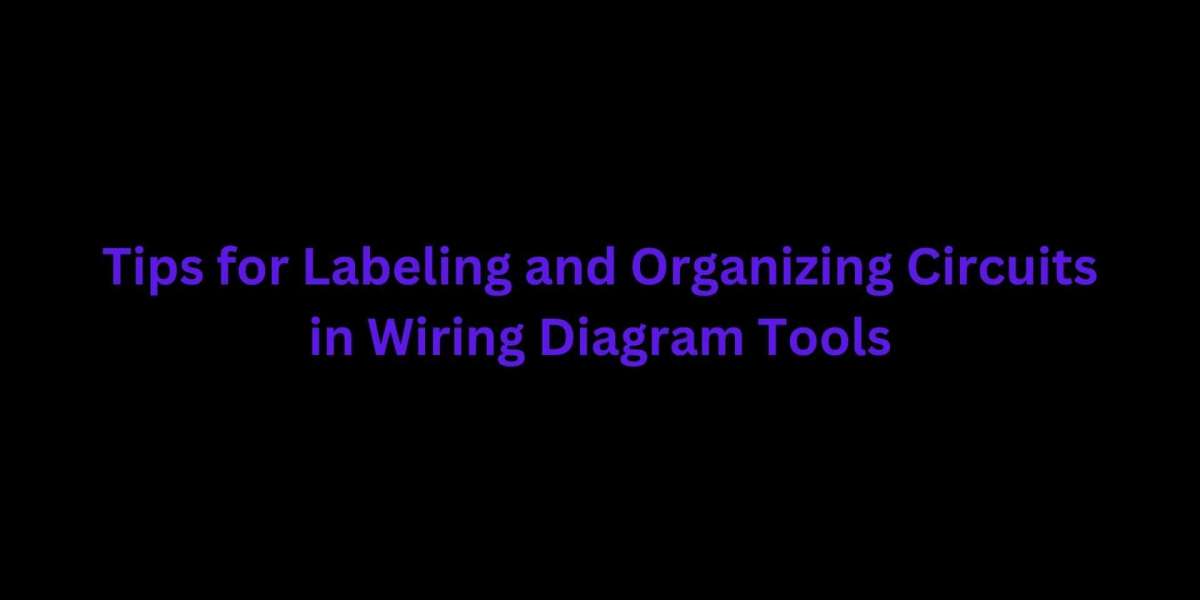 Tips for Labeling and Organizing Circuits in Wiring Diagram Tools