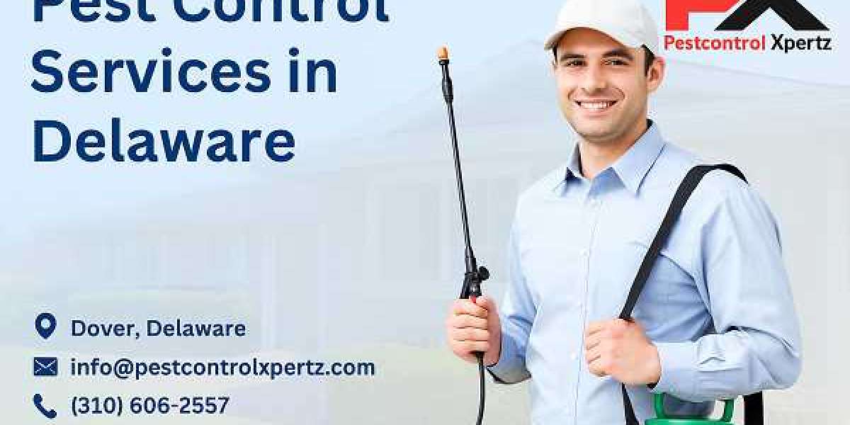 Pest Control in Glasgow: Your Ultimate Guide to a Pest-Free Home
