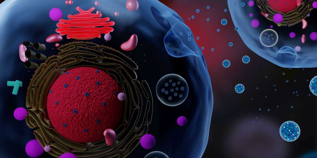 Understanding Protein Ubiquitination and Cellular Health