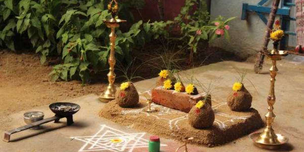 Expert Vastu Shastra Consultant – Transform Your Space with Indian Vastu Experts