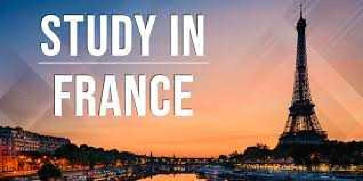 AOEC India – Trusted Study Abroad Consultants for France