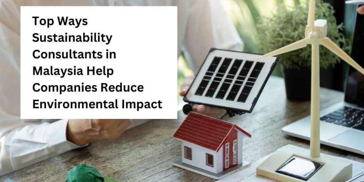 Top Ways Sustainability Consultants in Malaysia Help Companies Reduce Environmental Impact