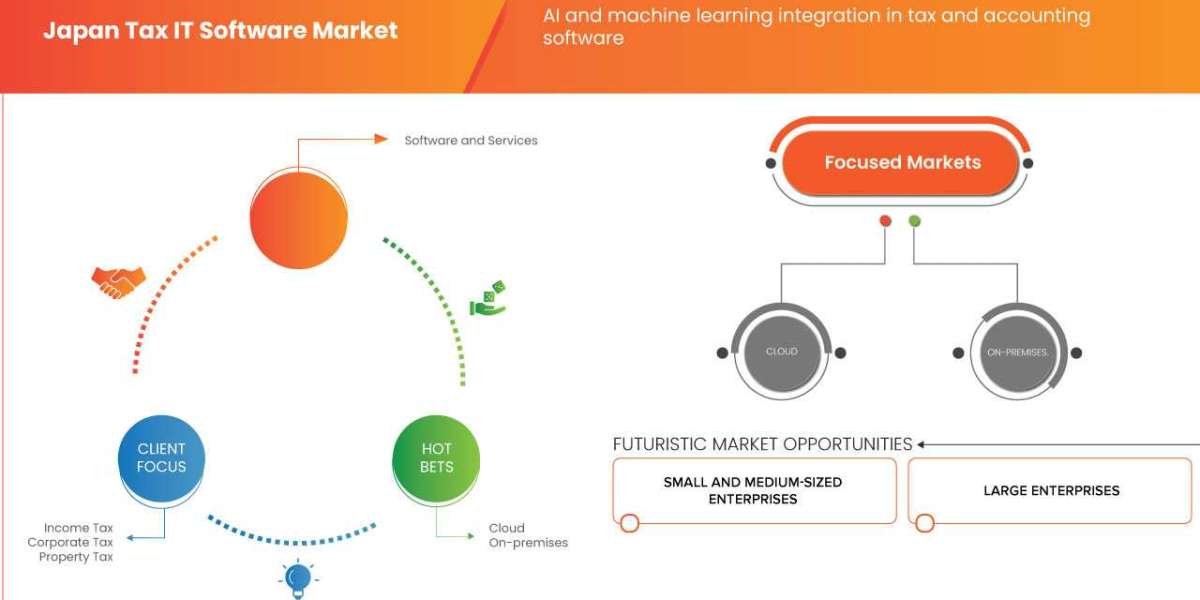 Japan Tax IT Software Market Overview, Growth Analysis, Trends and Forecast By 2032