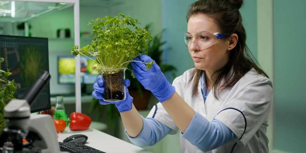 Everything You Need to Know About Biotechnology Industry Email List Before You Buy