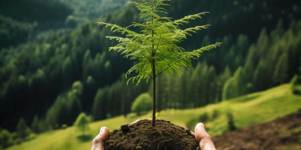 How hemp is closing the gap in rural development