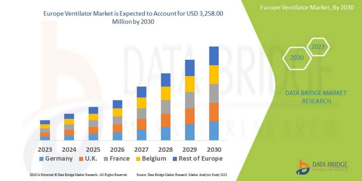 Europe Ventilator Business Outlook: Outlook and Opportunities Forecast 2025 - 2032