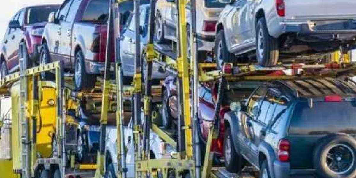 Delaware Car Shipping Services - Transport Master USA