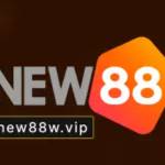 Nhà Đài New88