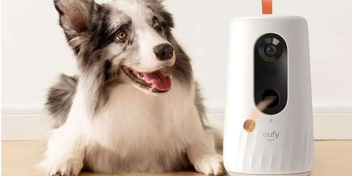 Eufy Pet Dog Camera 360° Pan: A Complete Guide