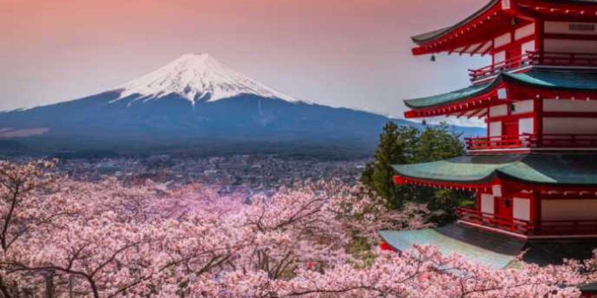 Luxury Tokyo Tours for Small Groups & Families – Book Your Experience