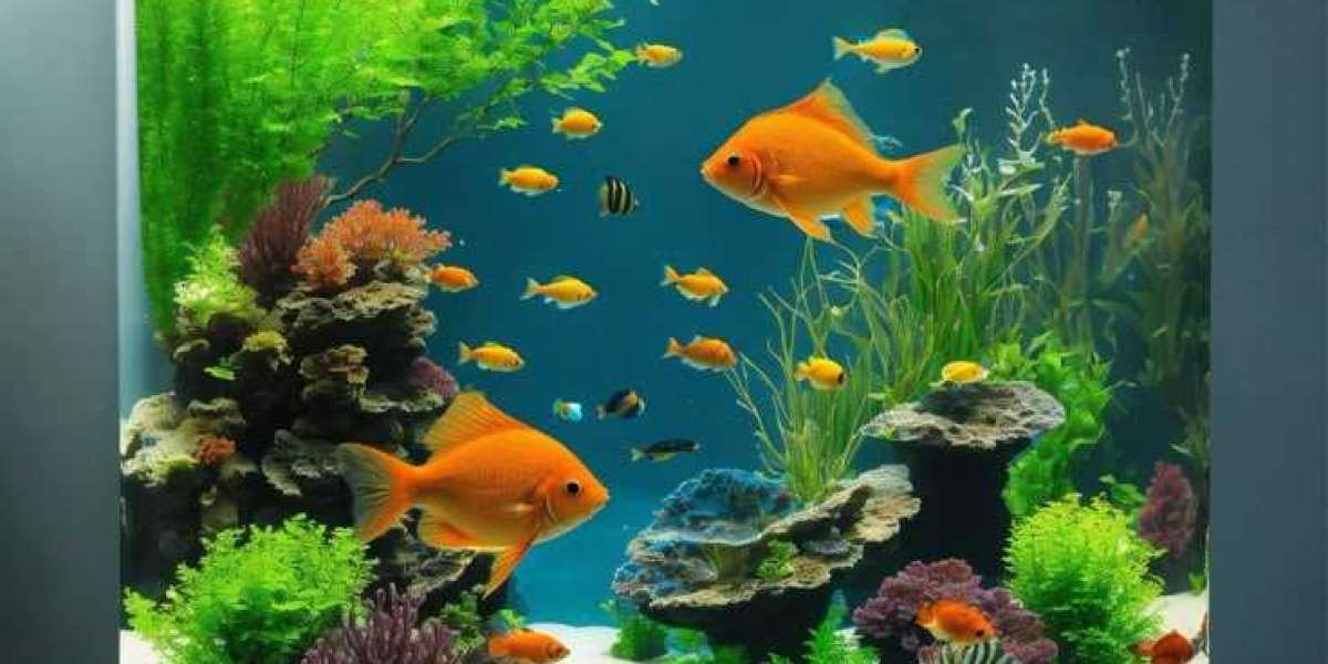 Freshwater Aquarium Setup and Care Guide for Vibrant Aquatic Life
