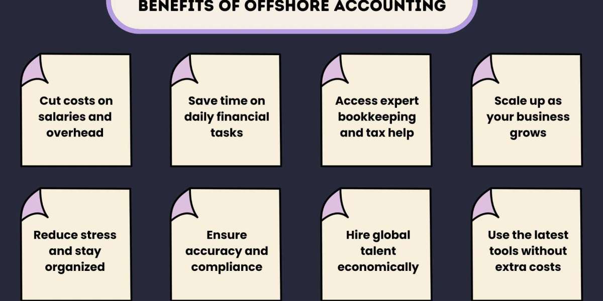 Hire Offshore Accountant vs Virtual Accountant Which One Should Your Business Choose?