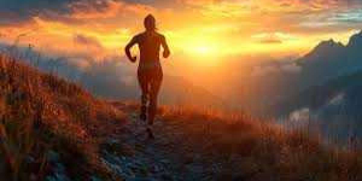 The Running Post: Stories That Fuel Your Running Journey