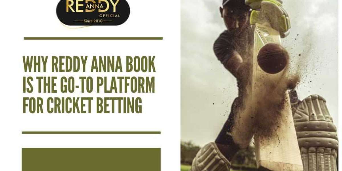 Why Reddy Anna Book is the Go-To Platform for Cricket Betting