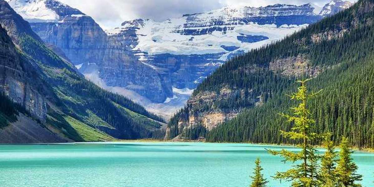 Canada eTA Application: Step-by-Step Guide