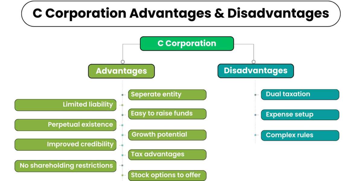 How C Corporation Tax Preparation Ensures Compliance and Drives Business Success in 2025? 
