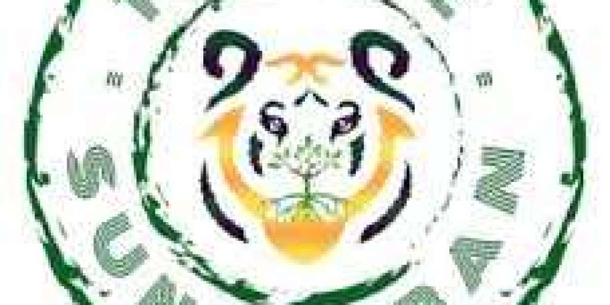 The Ultimate Guide to Sundarban West Bengal Tourism