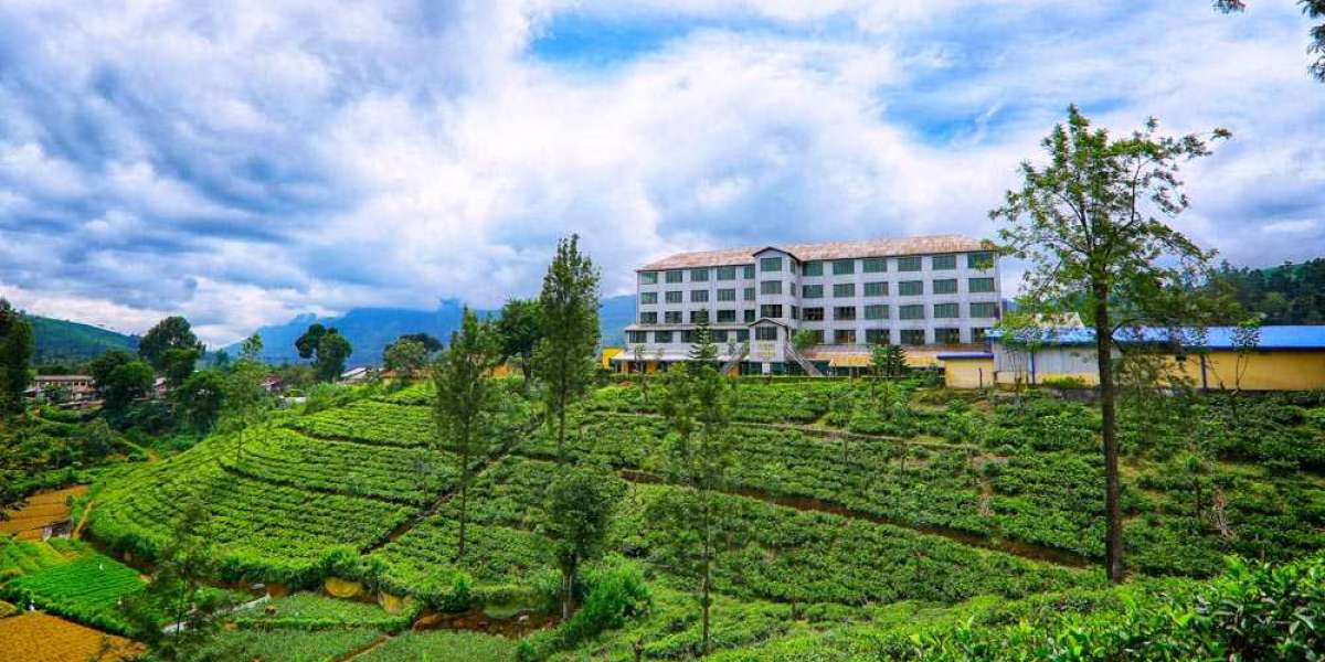 Island Wonders Await: Your Ultimate Guide to Sri Lanka Vacation Packages