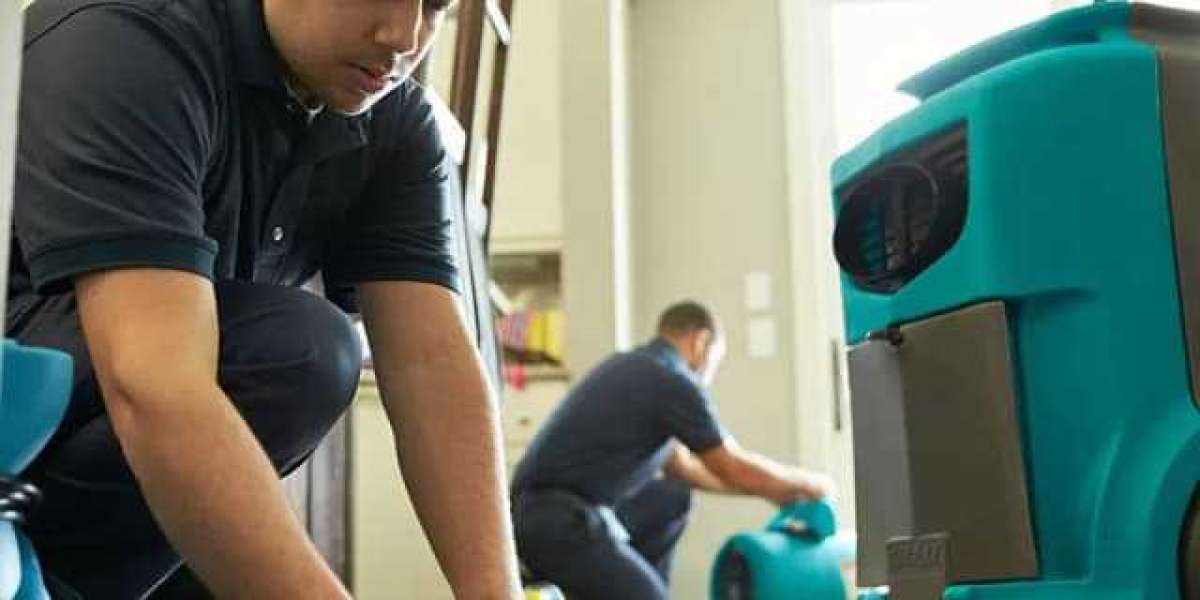 Water Remediation Techniques For Homeowners: Protecting Your Property