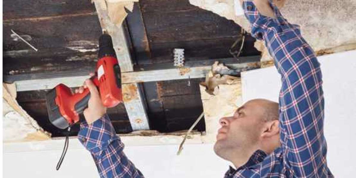 Restoration Services Sarasota – EES Restoration Sarasota