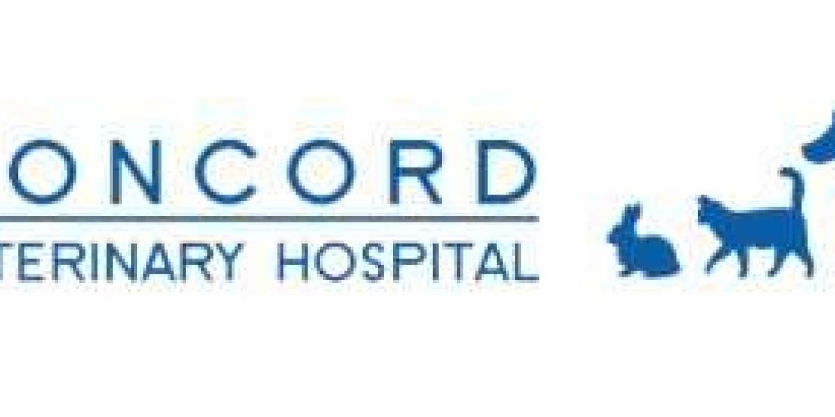 Senior pet care in Sydney
